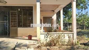 Cần tiền bán gấp biệt thự vườn