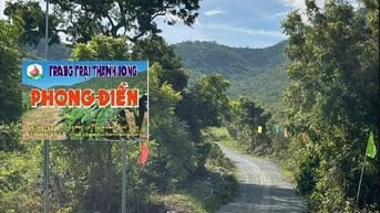 CHÍNH CHỦ BÁN VƯỜN CLN 17,7 Ha tại xã Phú Lạc, Bình Thuận (cũ)