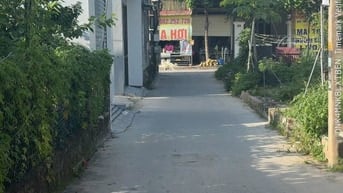 Lô đất 101m2 ngay trục Kiều Trung An Dương Hải Phòng