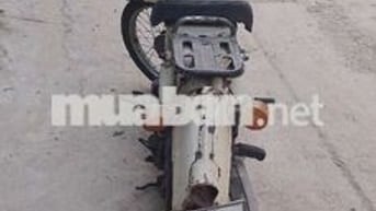 Honda Cup 81 Trắng