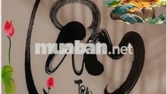 cho thuê tầng 1 biệt thự Hin Lam (20x20) giá 50 tr