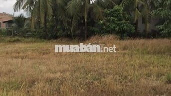 Bán đất khu dân cư châu thành, tiền giang