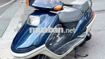 Honda Free way bao cọp ae oi