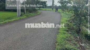 Đất Mặt Tiền Bảo Quang Long Khánh
