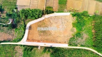 Bán đất nền sẵn sổ cạnh KCN Lam Sơn Thanh Hóa giá tốt 