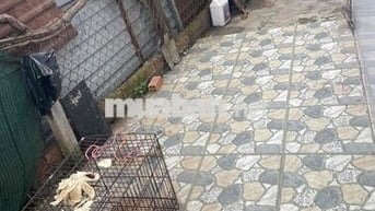 Cần tiền bán gấp căn nhà cấp 4