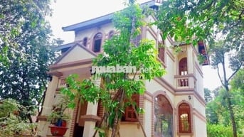 Cho Thuê Biệt Thự Lê Thị Kim Xuân Thới Sơn Hóc Môn