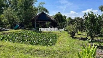 Cần bán gấp lô đất full thổ cư