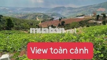 🔥 ĐẤT VIEW PHẬT BÀ MÊ LINH – GIÁ DƯỚI 1 TỶ 🔥  Diện tích 300m² (126m² t