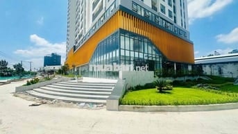 Giỏ hàng cho thuê căn hộ Aurora với nhiều diện tích giá tốt tháng 7
