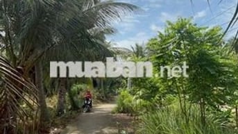 🌿 ĐẤT ĐẸP – GIÁ RẺ – GẦN TP.HCM 🌿  Chỉ từ 155