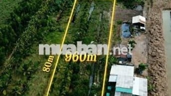 ĐẤT VƯỜN 960m² CHỈ 390 TRIỆU – CHUYỂN THỔ CƯ ĐƯỢC