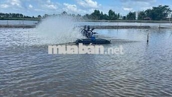 Nhiều nhà đầu tư đã âm thầm gom đất tại kdc Daresco Đức Hoà Hậu Nghĩa