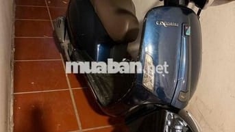 Nioshima 50cc 2022 Xanh