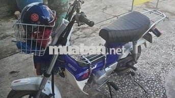 Honda Chaly 50cc 2025 Xanh trắng