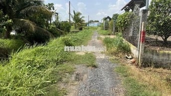 chính chủ cần bán đất thổ cư dt 5x30 tại An Nhựt Tân, Tân Trụ . SHR