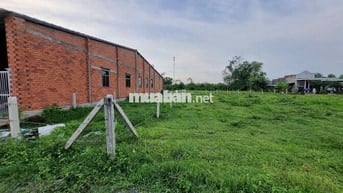 5x35 full thổ. Đối diện 2 trường học. Gần KCN. 499tr