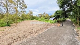 1648m2 Đất Thổ Cư gần KCN Hiệp Thạnh Gò Dầu Tây Ninh giá chỉ 1tỷ050tr