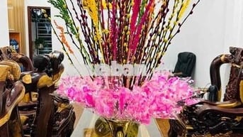Chuyển chỗ ở cần bán nhà mặt tiền đường Nguyễn Thị Định (TL883 cũ)