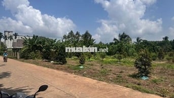 CHỦ NGỘP BÁN NHANH 244M2, GIÁ CHỈ 395TR, SỔ SẴN, MT ĐƯỜNG 8M, DÂN ĐÔNG