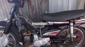 Honda Dream Nâu