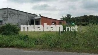 gần 4 công 1 đất đường nhựa 16-16 dương Minh châu, chỉ 4 tỷ hết đất