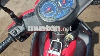 SIRIUT FI 2015 BẢN RC 