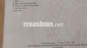 Đất đẹp SHR 286m2 Đường Đặng Văn Trước 700tr cạnh KCN Trảng Bàng