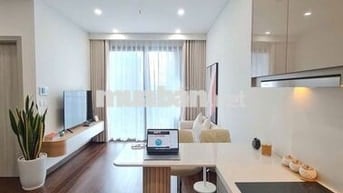 Bán 1N1VS+ 43m2 full đồ. Vinhomes smart city Tây Mỗ.Giá 3,2 tỷ 