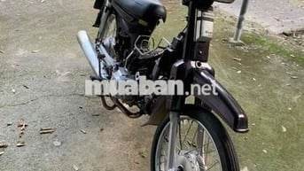 Honda Citi Tím