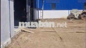 cho thuê xưởng an điền bến cát . bình dương