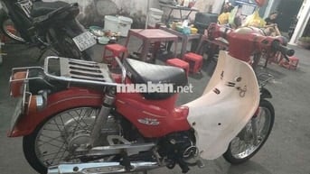 Honda Cup 50 Đỏ Trắng
