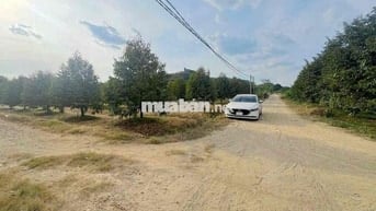 Đất trồng sầu riêng có thổ cư 1 phần