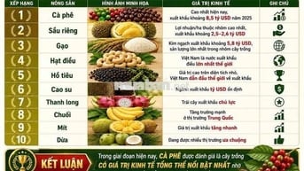 💥 BẤT ĐỘNG SẢN DÒNG TIỀN DỰ KIẾN 30% / NĂM