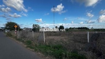 Bán đất Láng Dài - Đất Đỏ 600m2