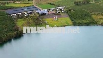 TÔI có đất cạnh hồ và OLaLa Glamping Bảo Lâm cần bán