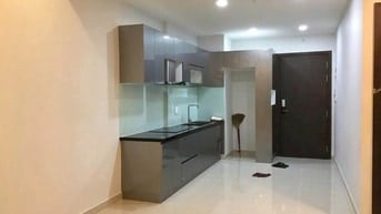 Cho thuê căn hộ IDICO Tân Phú 2PN full nội thất mới giá 11 tr/th