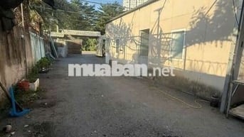 cho thuê mb kinh dang an phú đông wuân 12
