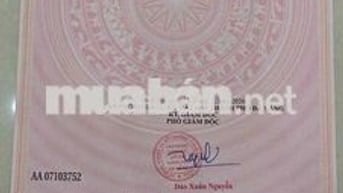 bán đất kiệt hoà cường,trung tâm gần toà nhà 69tầng