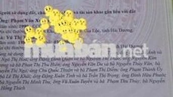 Bán Căn Hộ Mini Khương Hạ Thanh Xuân. Siêu Rẻ 1,7x tỷ. Thoáng Ngõ Ô to