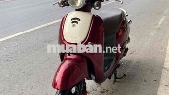 Xe ga 50cc Đỏ đẹp
