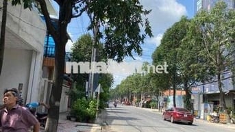 Cho thuê mặt bằng kinh doanh  Bùi Hữu Nghĩa, Phường Tân Vạn, Thành phố