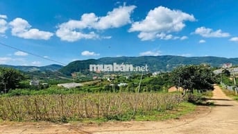Đất nghỉ dưỡng gần Đà Lạt view đẹp tại Nam Ban Lâm Hà