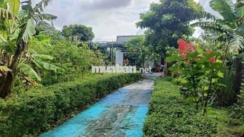 Đất thổ cư 600 m2 diện tích 2.890m2 đã có nhà đầy đủ tiện nghi