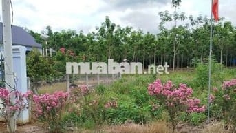 🔑 MUA ĐẤT CHÍNH CHỦ – KHÔNG LO BỊ ĐỘI GIÁ QUA TRUNG GIAN