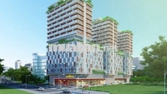 Cho thuê căn hộ charmington la pointe
