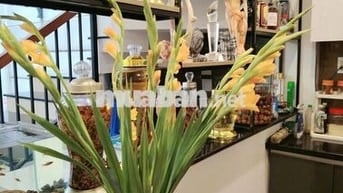 Nhà Nguyên Căn Gần Non Nước| Đẹp| Yên Tĩnh