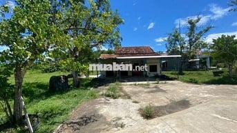 🔥 BÁN ĐẤT TẶNG NHÀ C4 - DIỆN TÍCH KHỦNG 924.6M² - KIỆT Ô TÔ TẬN ĐẤT 🔥