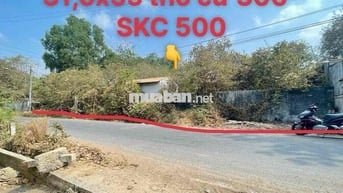BÁN GẤP đất 31,6x55 thổ cư 300m 500m SKC nhựa 6m xecông chạy sát DT744