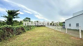 NỀN BIỆT THỰ VIEW BỜ KÈ SÔNG MẶT TIỀN RẠCH MƯƠNG KHAI_513m²